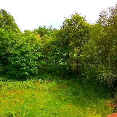 게스트하우스 As Termas 3*