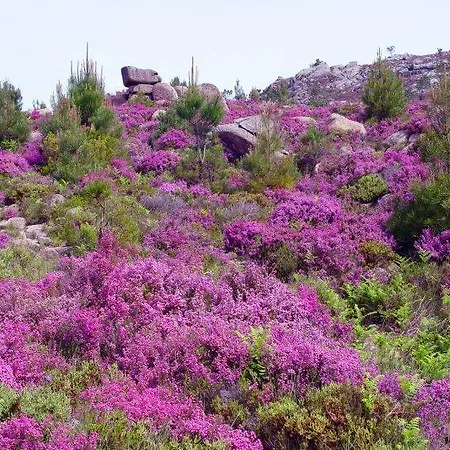 As Termas 3* Bubaces