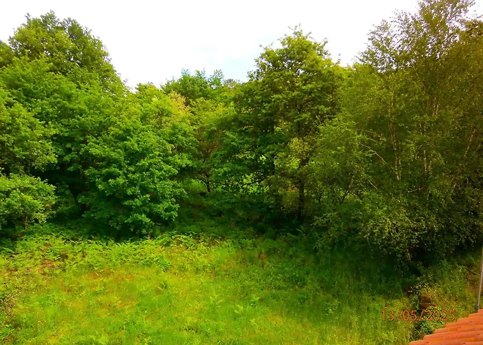 Casa de hóspedes As Termas 3*