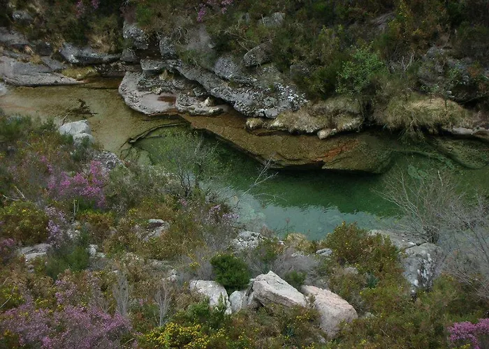 As Termas Casa de hóspedes Bubaces
